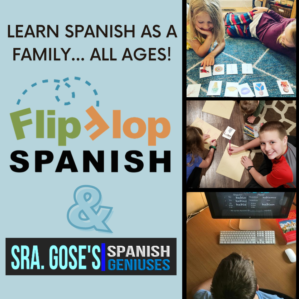 Free Flip Flop Spanish Flash Card Game eBook Download Flip Flop