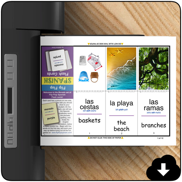 Flip Flop Spanish Flash Cards *Super Bundle* (Printable)