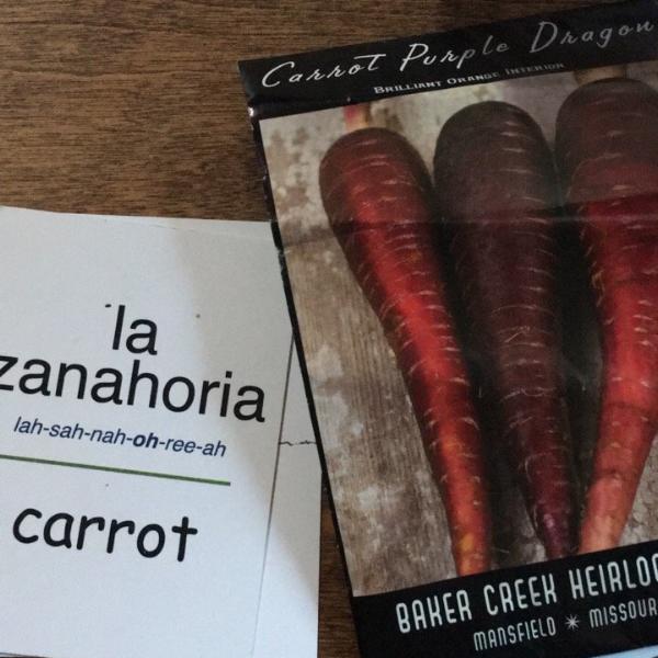 Flip Flop Spanish Enrichment: La semilla de zanahoria - Homeschool Spanish Curriculum | Flip Flop Spanish  