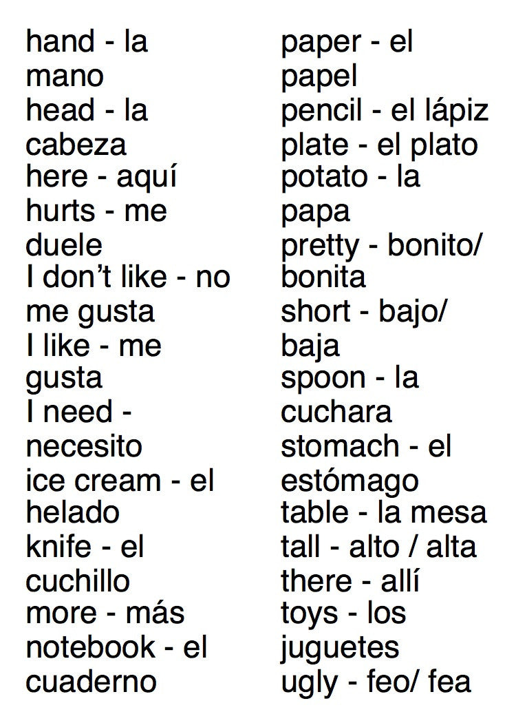 Flip Flop Spanish Flash Cards Verde Flip Flop Spanish & Spanish Geniuses