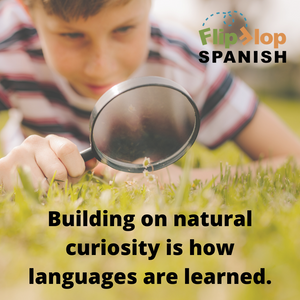 Six Spanish Flash Card Games