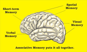 Dyslexia (and vision therapy) Tips & Tricks with the See it and Say it Method