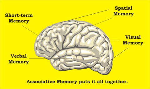 Dyslexia (and vision therapy) Tips & Tricks with the See it and Say it Method