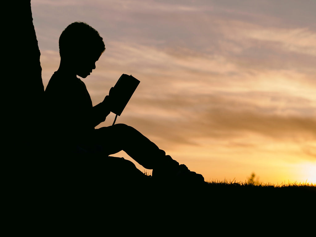 Off Topic: Great Literature for boys