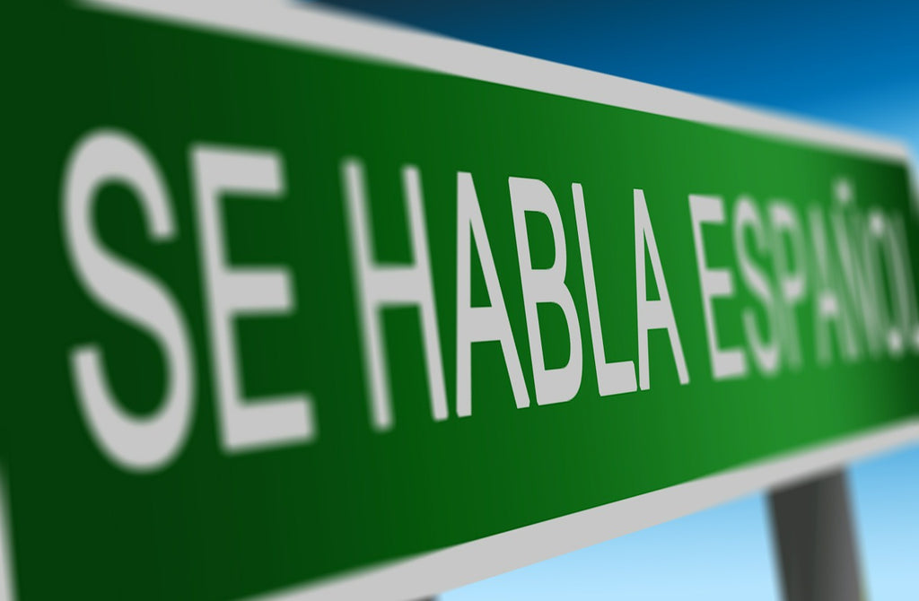 What "type" of Spanish do you teach?
