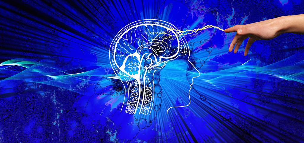 Adolescent Brain Health - Part 1 of 3 [Executive Functioning]