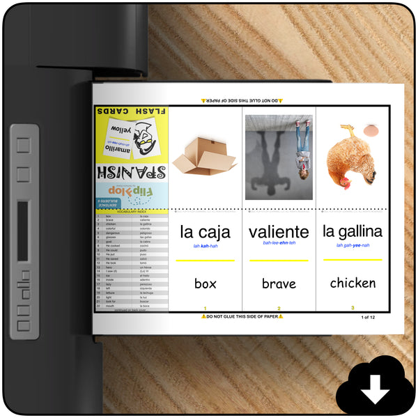 Flip Flop Spanish Flash Cards *Super Bundle* (Printable)