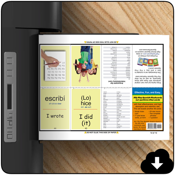 Flip Flop Spanish Flash Cards SiSi Level 2 Bundle (Printable)