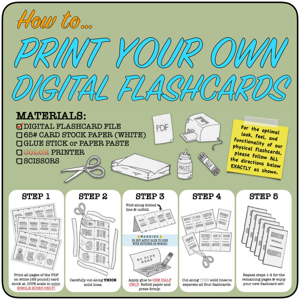 Flip Flop Spanish Flash Cards SiSi Level 1 Bundle (Printable)