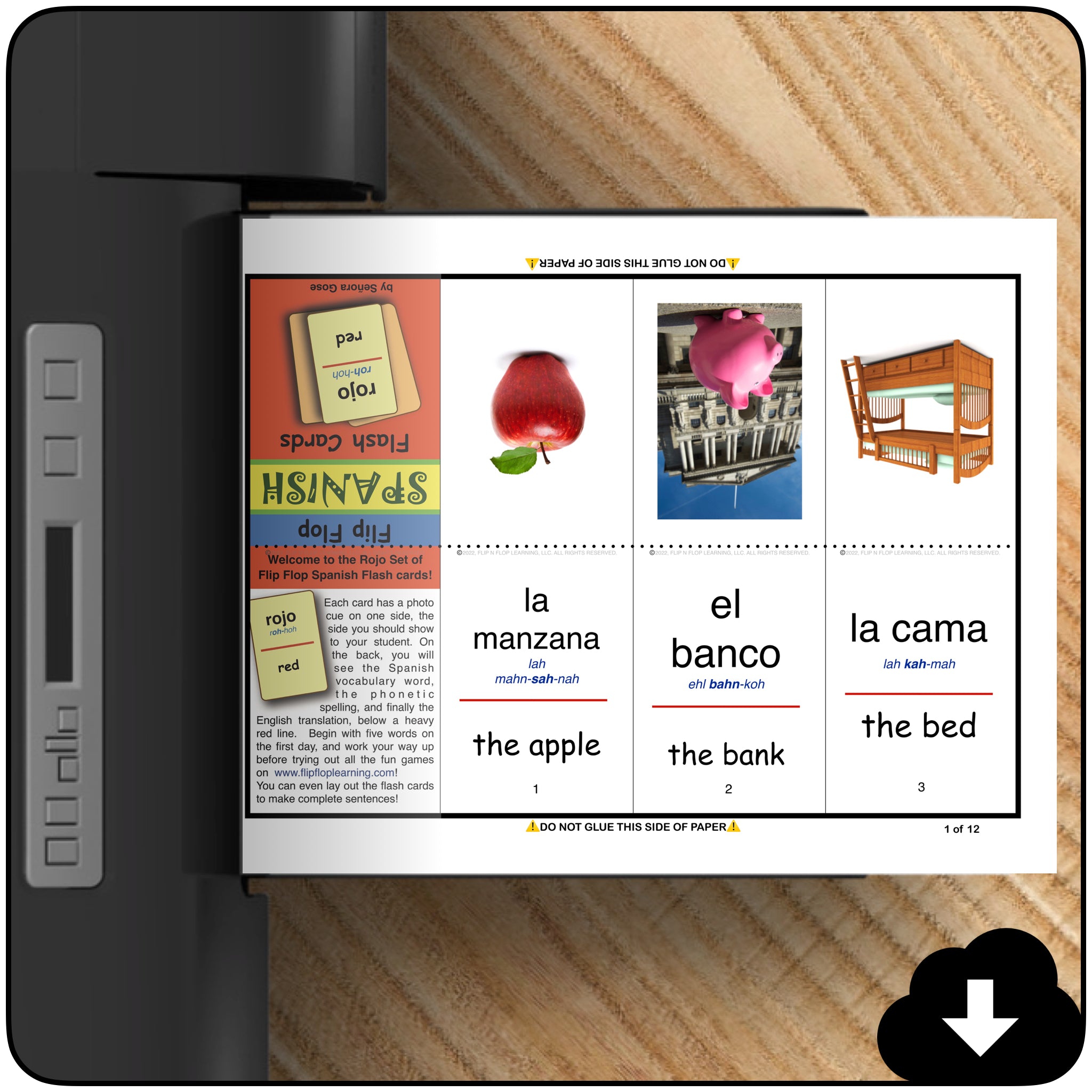 See it and Say it: Whole Family Spanish (Digital Box Set) – Flip Flop ...