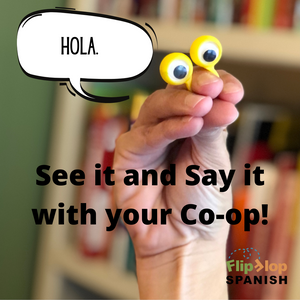 Pair of Google Eyes (Ojos) For Spanish Conversation Practice