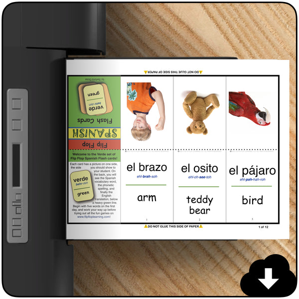 Flip Flop Spanish Flash Cards: Verde (Printable)