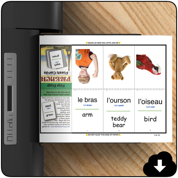 Flip Flop French Flash Cards: Vert (Printable)