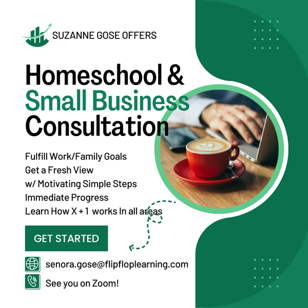 40-Minute Consultation - Homeschool or Small Business Coaching